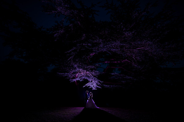 Collection 79 photo by Aaron Yorke