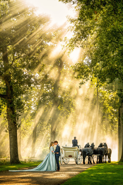 Collection 90 photo by Jan Van De Maat