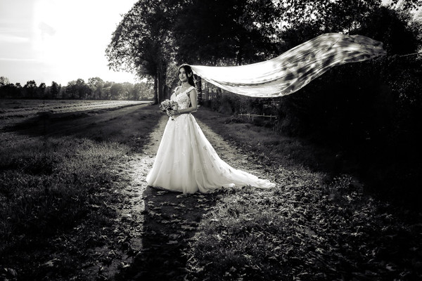 Collection 95 photo by Rob Weijers