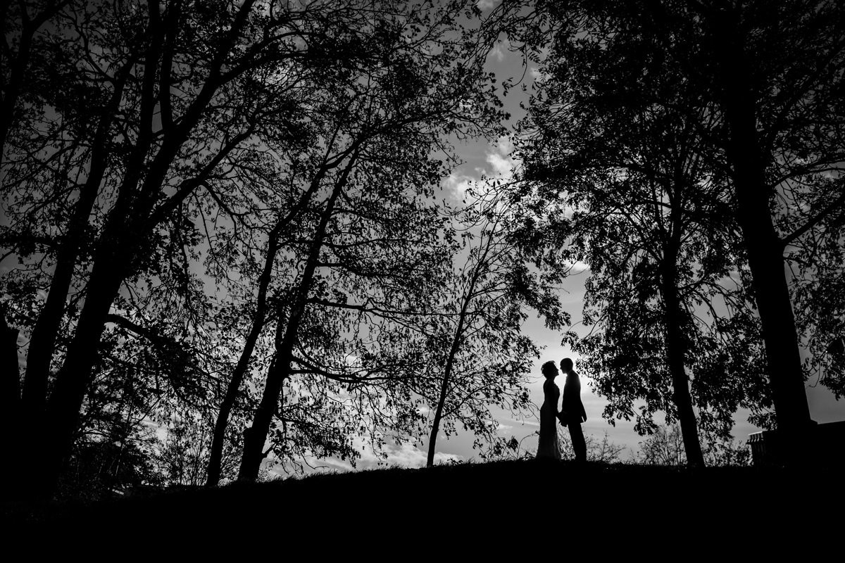 Collection 10 photo by Nicole Bosch