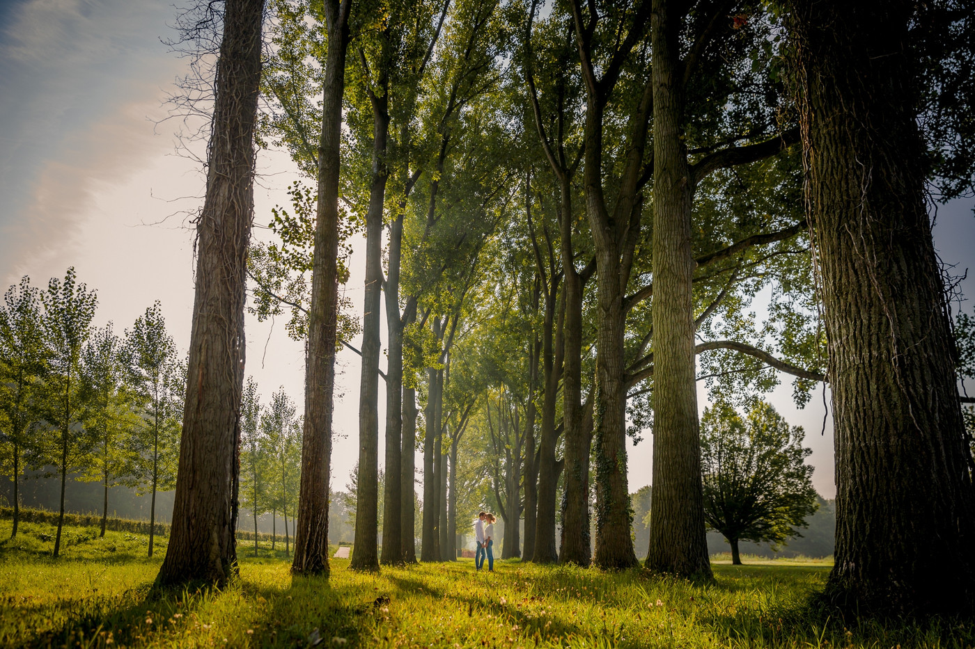 Collection 12 photo by Nicole Bosch