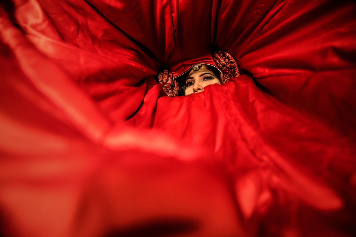 Collection 51 photo by Sonal Dalmia