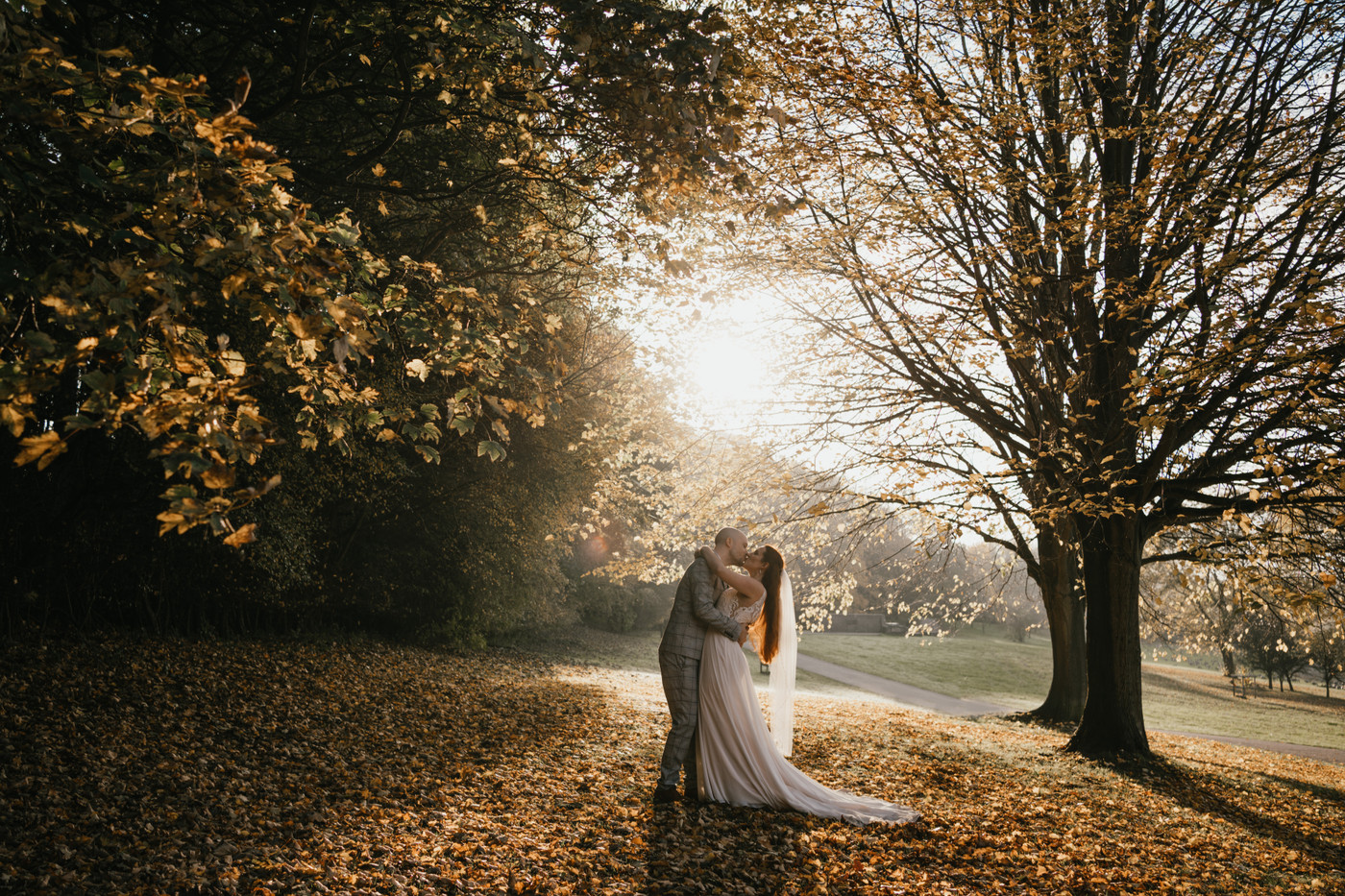 Collection 81 photo by Liz Greenhalgh