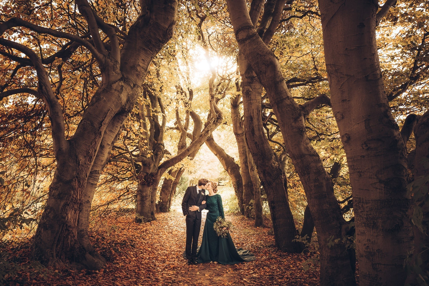Collection 92 photo by Jan Van De Maat