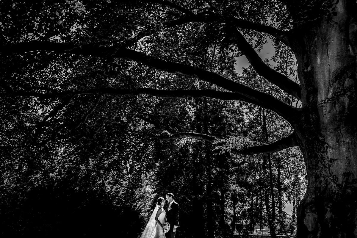 Collection 9 photo by Nicole Bosch