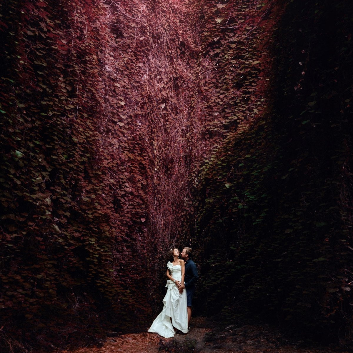 Collection 9 photo by Dimm Kutlubaev