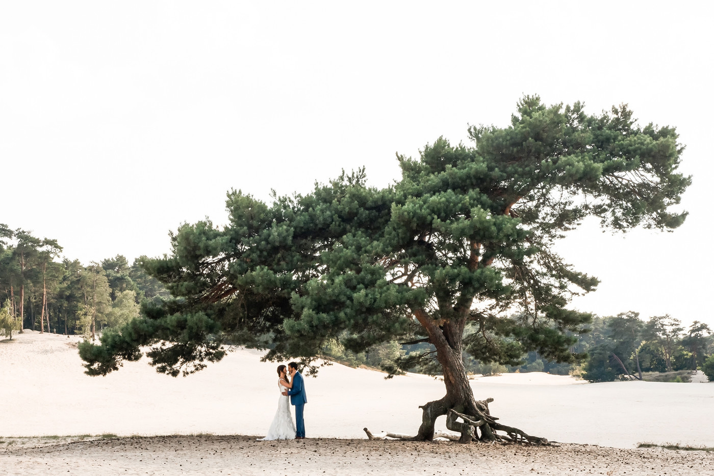 Collection 11 photo by Lina Burggraaf