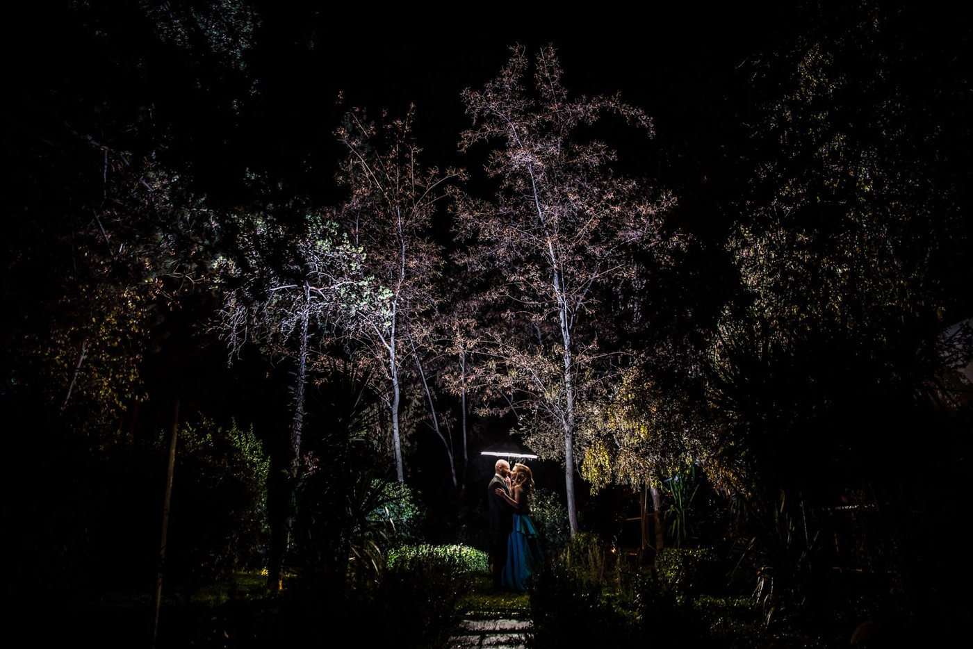 Collection 11 photo by Aladdin Qattouri