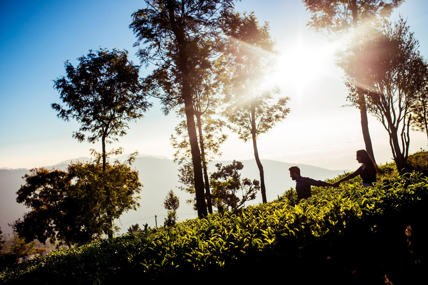 Collection 12 photo by Kumaran Rajarathinam