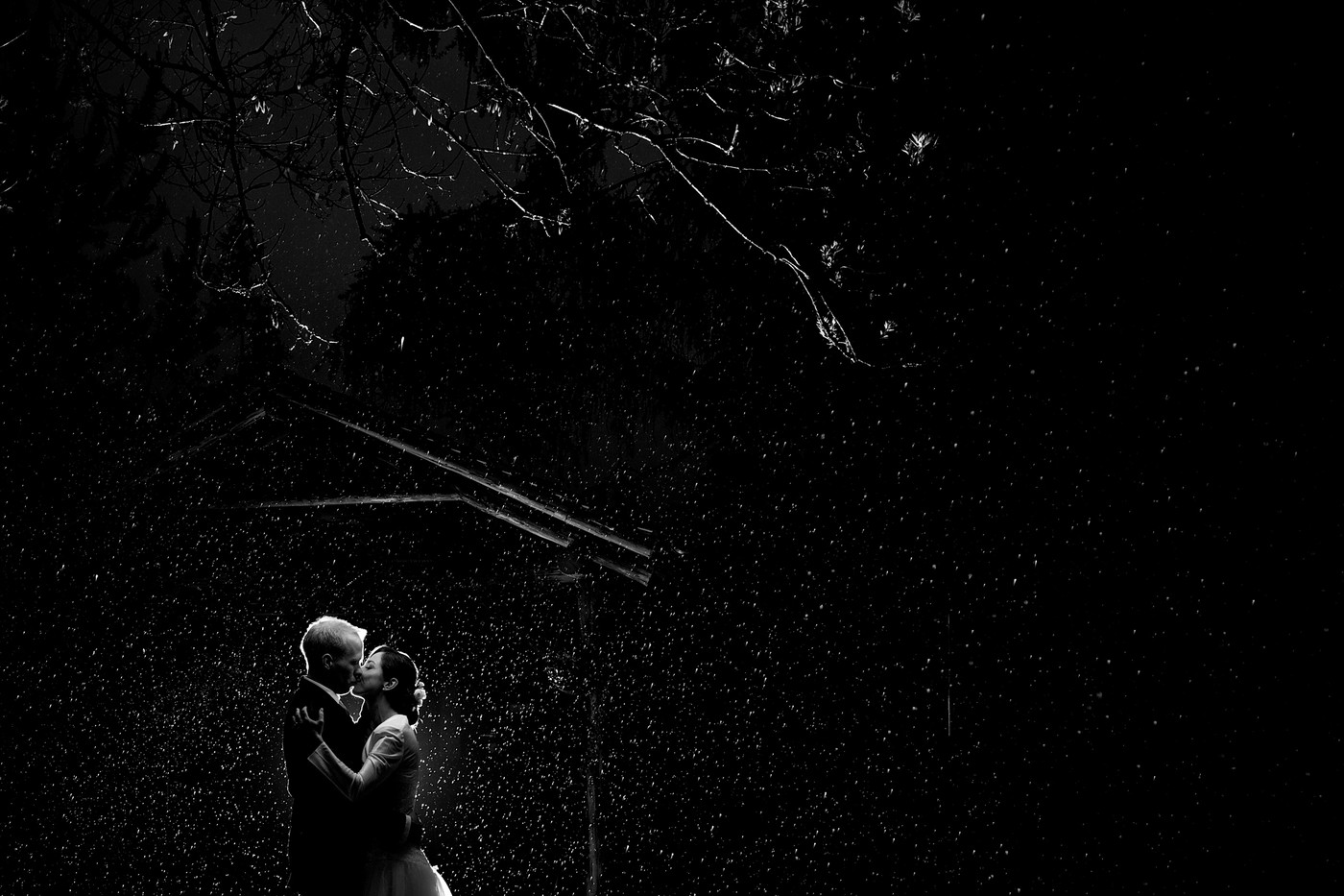 Collection 13 photo by Jan Vlcek