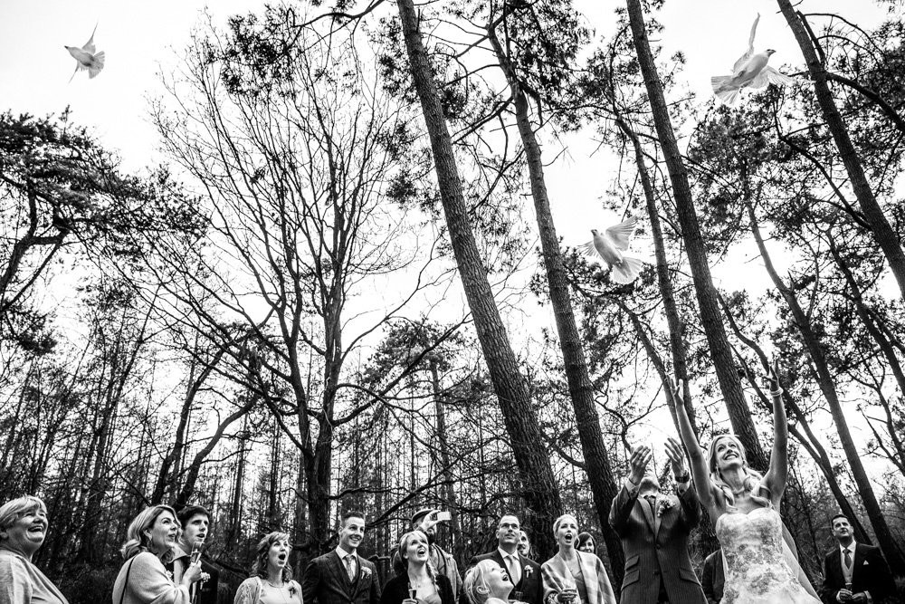 Collection 14 photo by Arno De Bruijn