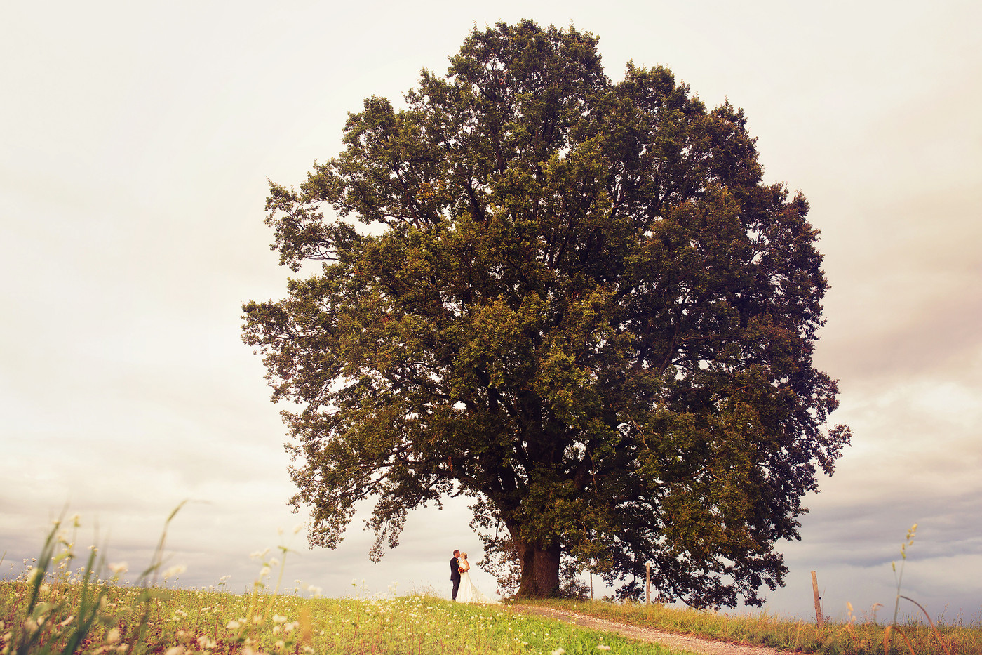 Collection 20 photo by Dietmar Kump