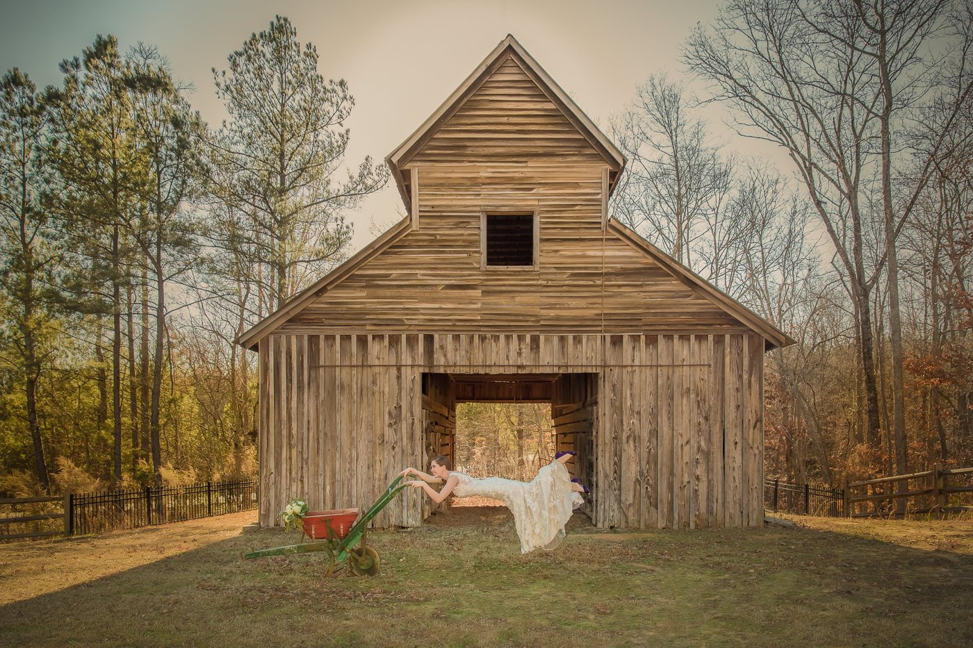Collection 24 photo by Peter Togel