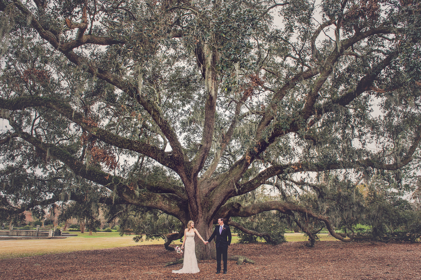 Collection 25 photo by Nicole Parrish-mclain