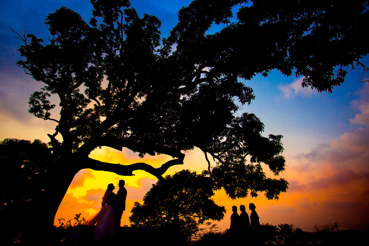 Collection 26 photo by Radhika Pandit