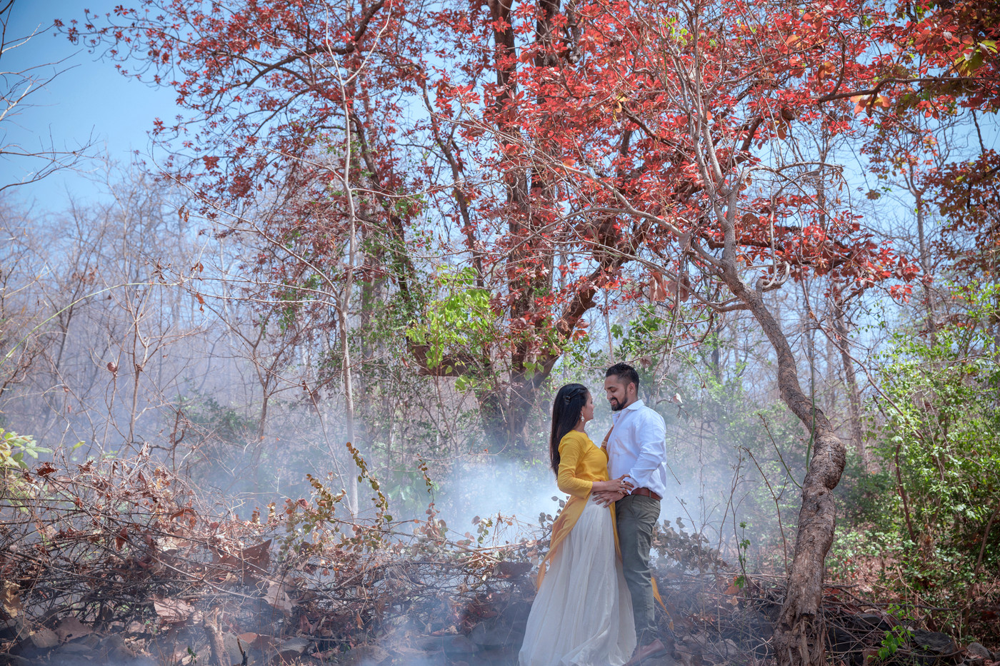 Collection 27 photo by Manish Patel