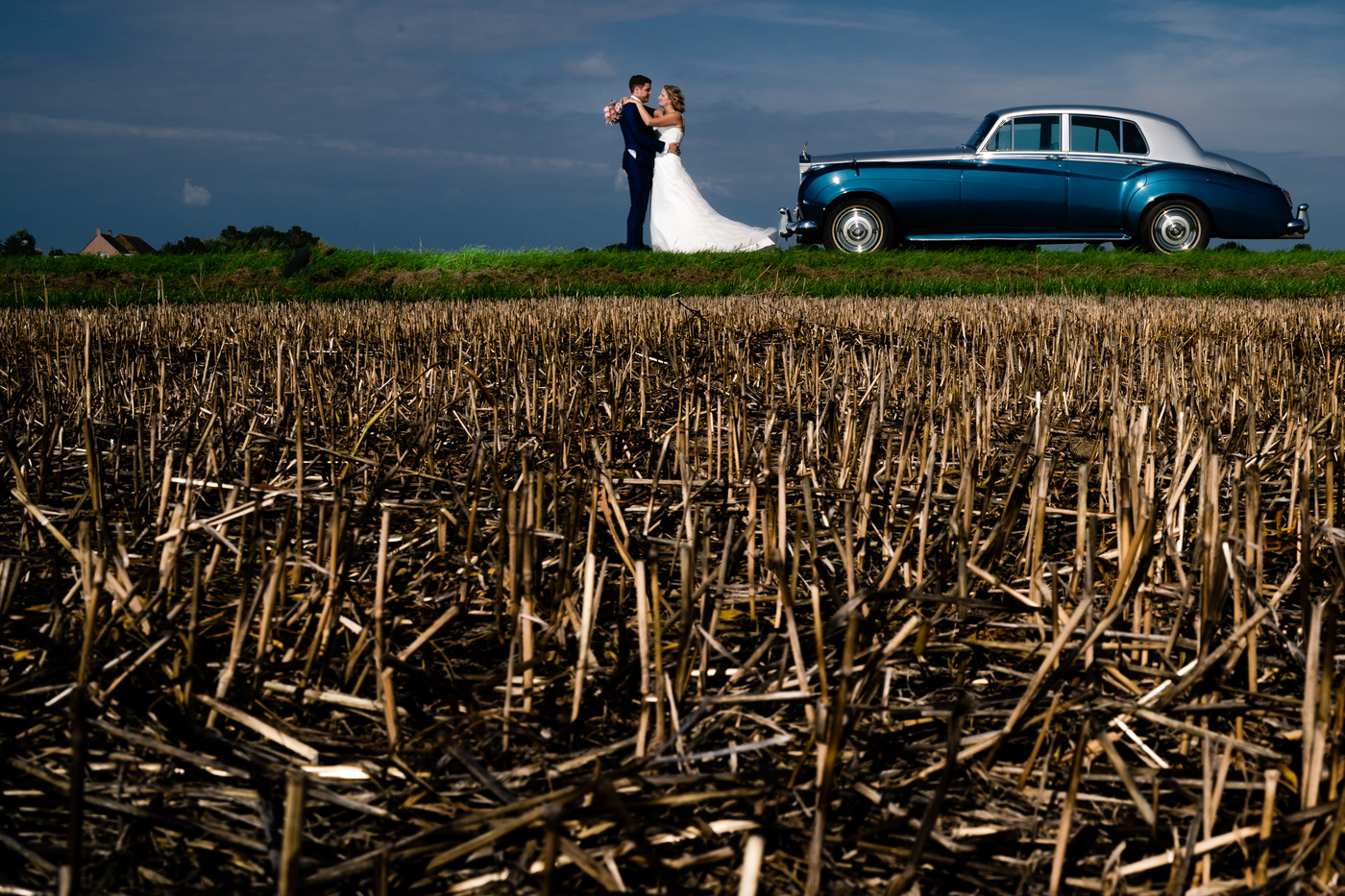 Collection 42 photo by Albert Weterings
