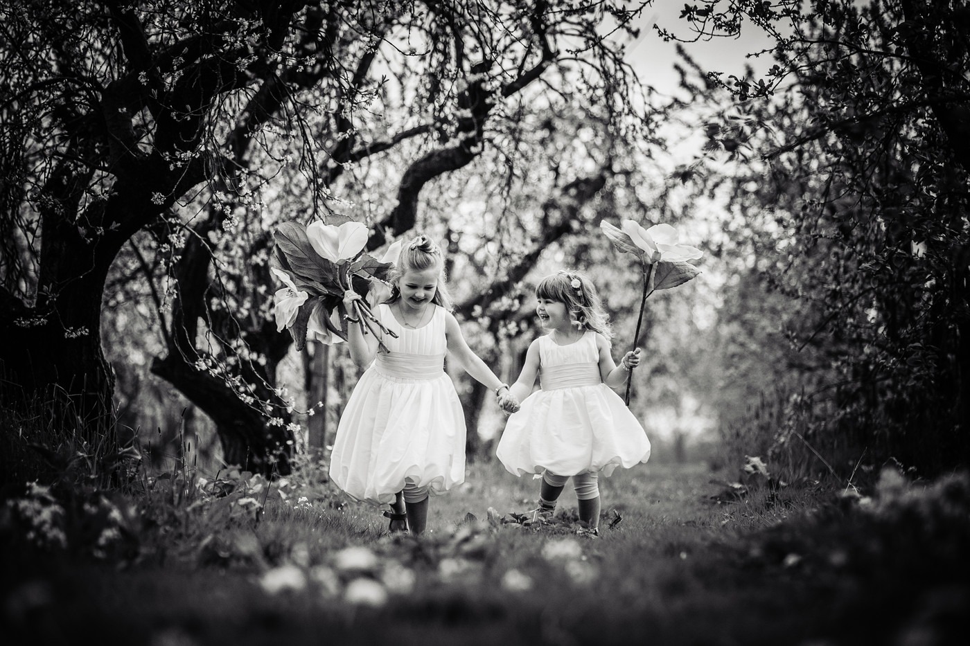 Collection 47 photo by Simon Meindertsma