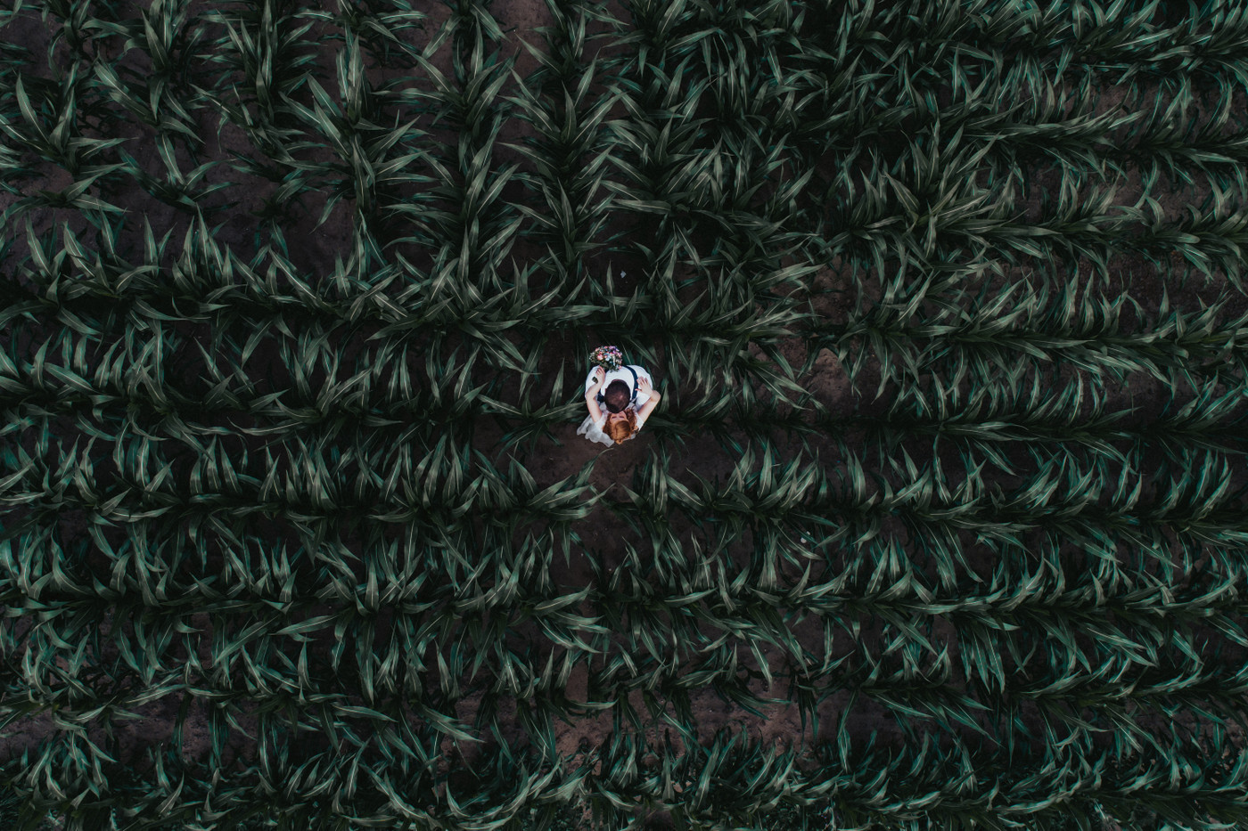 Collection 47 photo by Sven Hebbinghaus