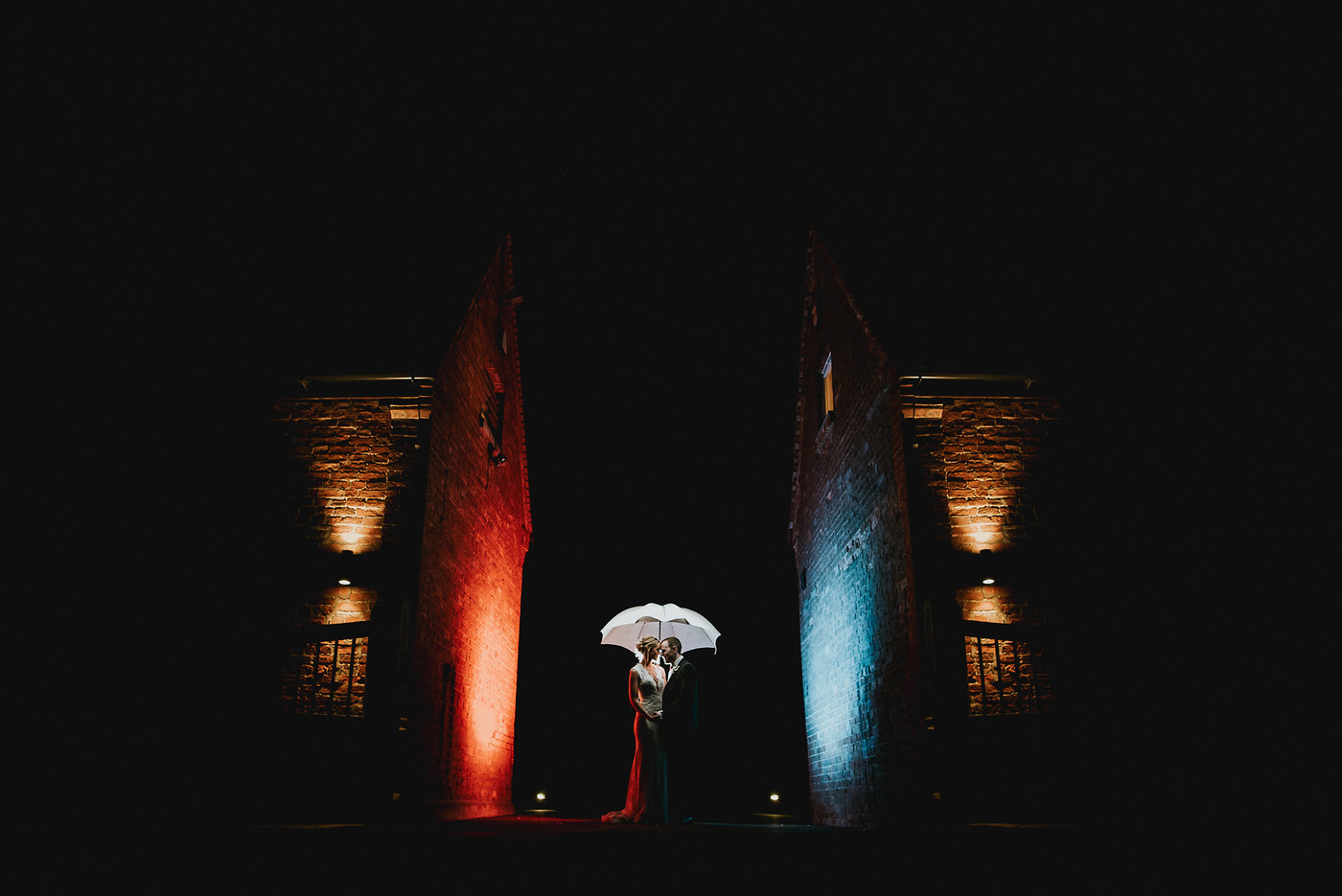 Collection 50 photo by Daniel Ackerley