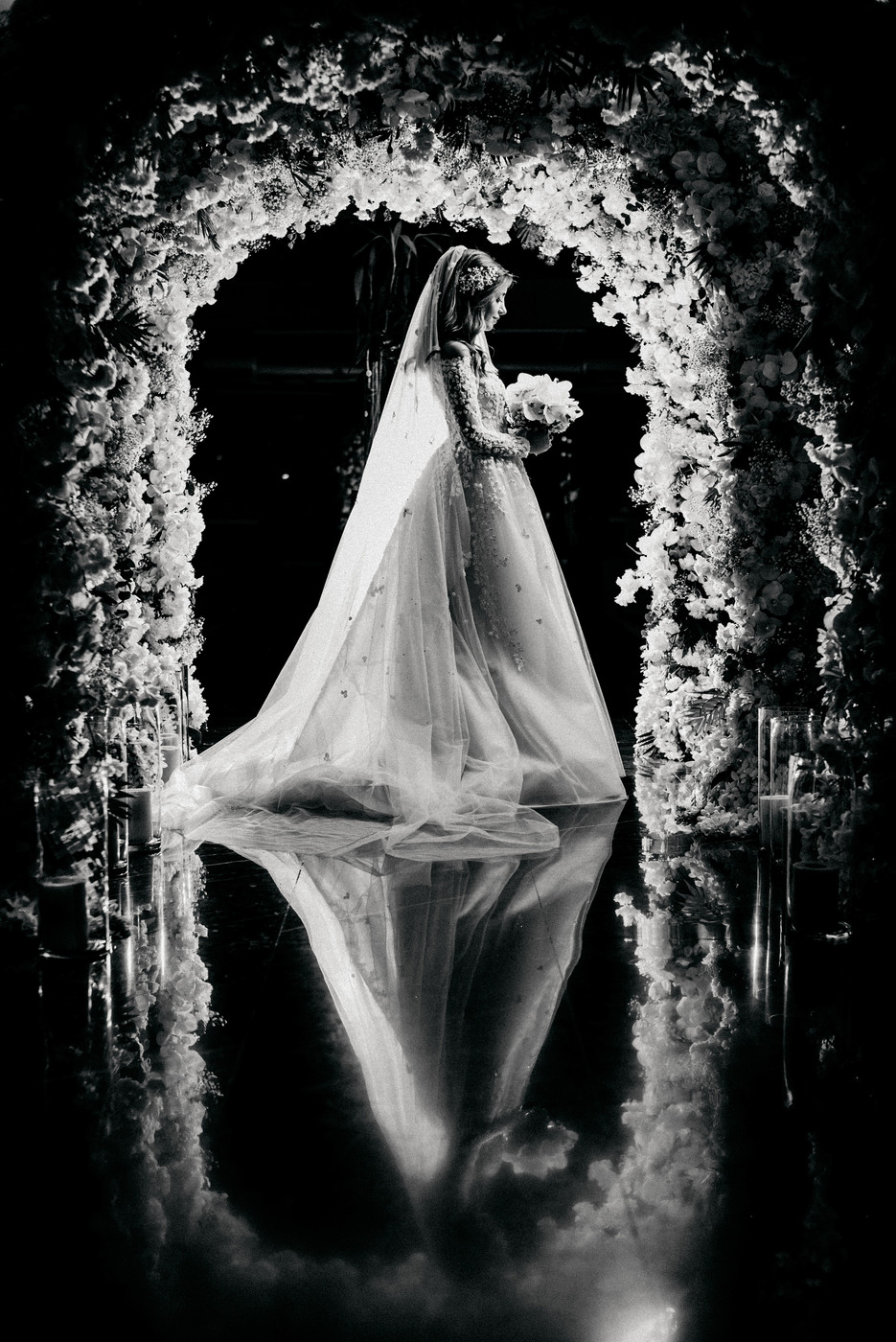 Collection 50 photo by Malek Haddad