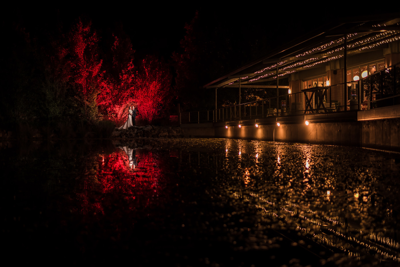 Collection 50 photo by Sasha Illarionov