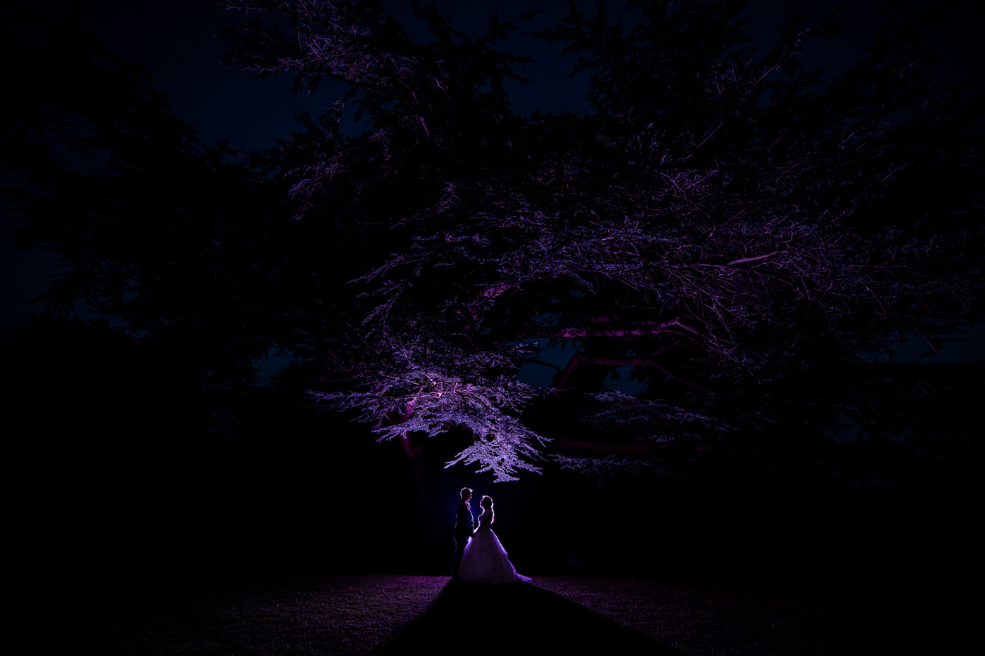 Collection 79 photo by Aaron Yorke