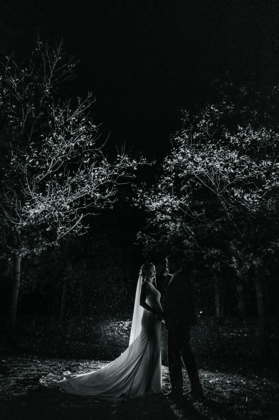 Collection 82 photo by Marieke Zelisse