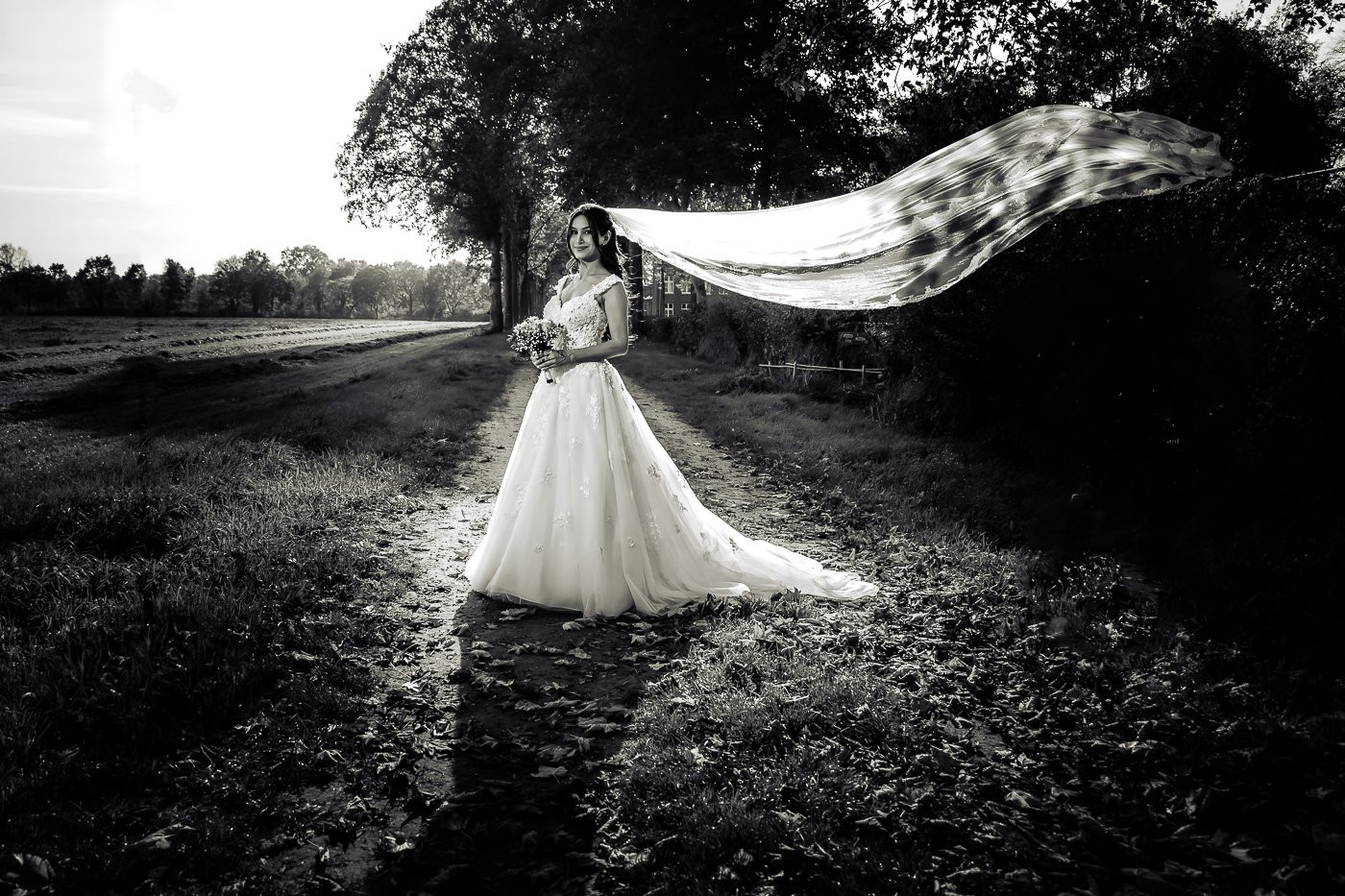 Collection 95 photo by Rob Weijers