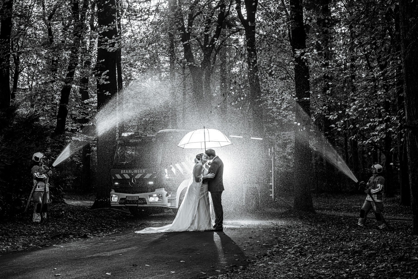 Collection 97 photo by Stefan Van Dorrestein
