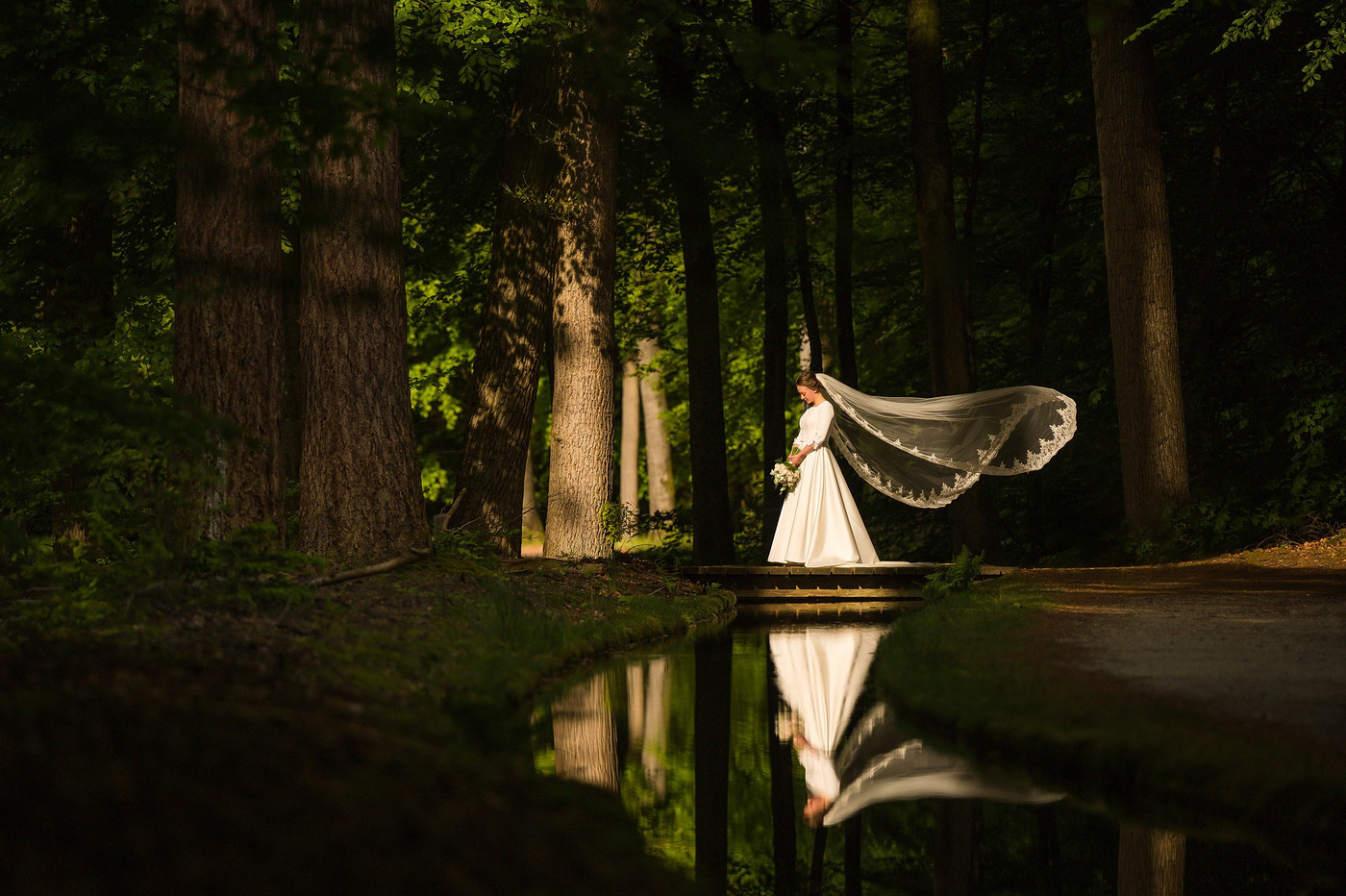 Collection 98 photo by Jan Van De Maat