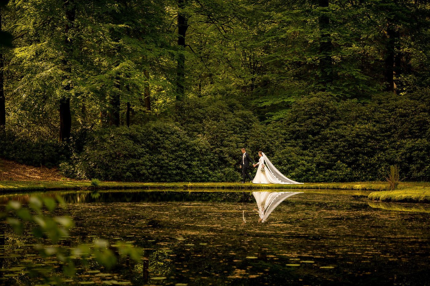 Collection 98 photo by Jan Van De Maat