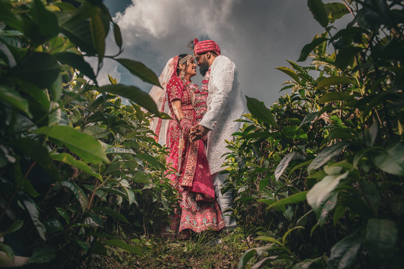 Collection 102 photo by Thekanand Jankeeram