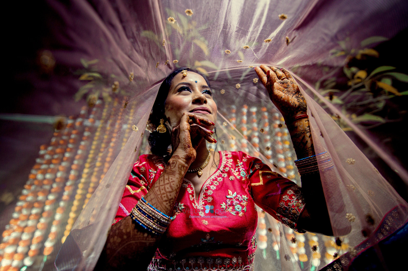 Collection 106 photo by Doushan Sewtohul