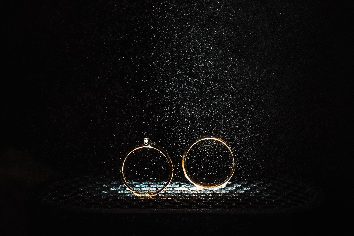 Collection 111 photo by Ivo Claessens