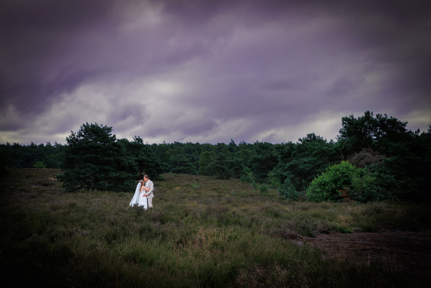 Collection 124 photo by Gerbert Voortman