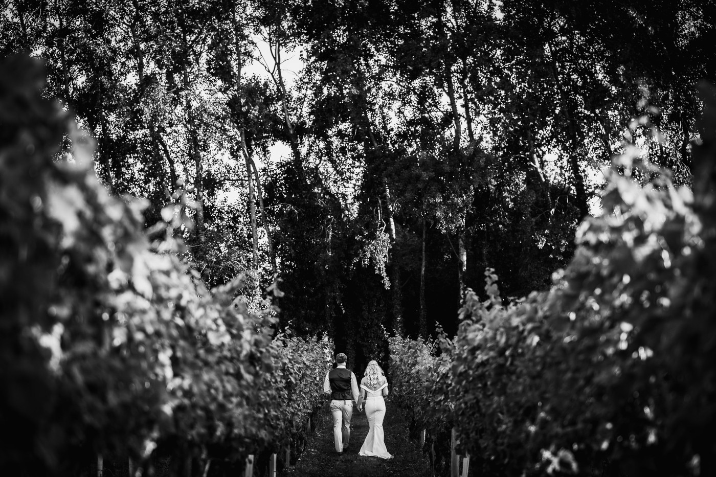 Collection 127 photo by Daniel Ackerley