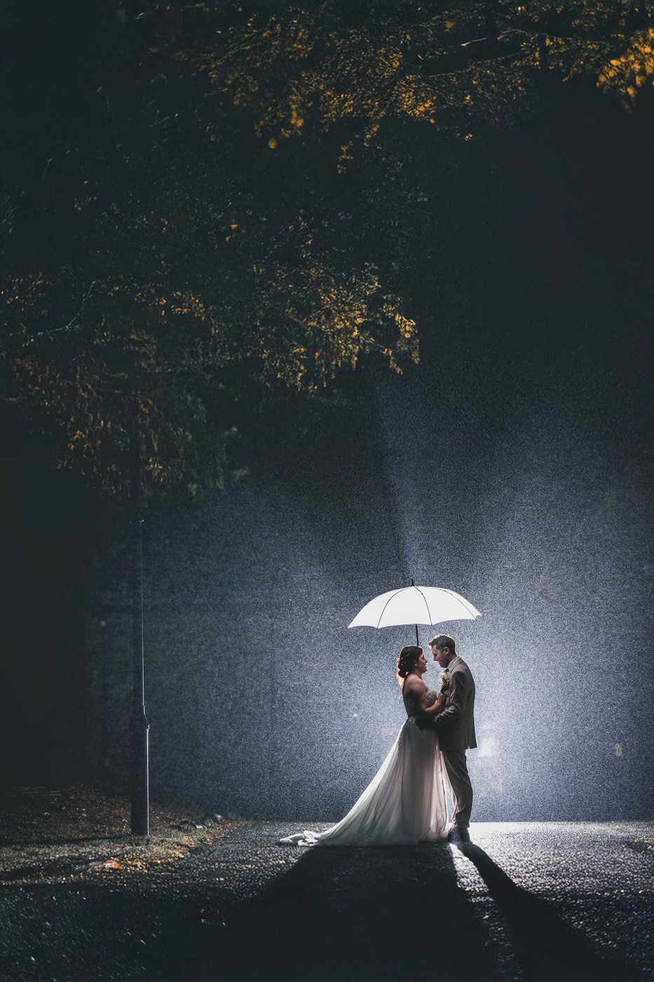 Collection 128 photo by David Conway