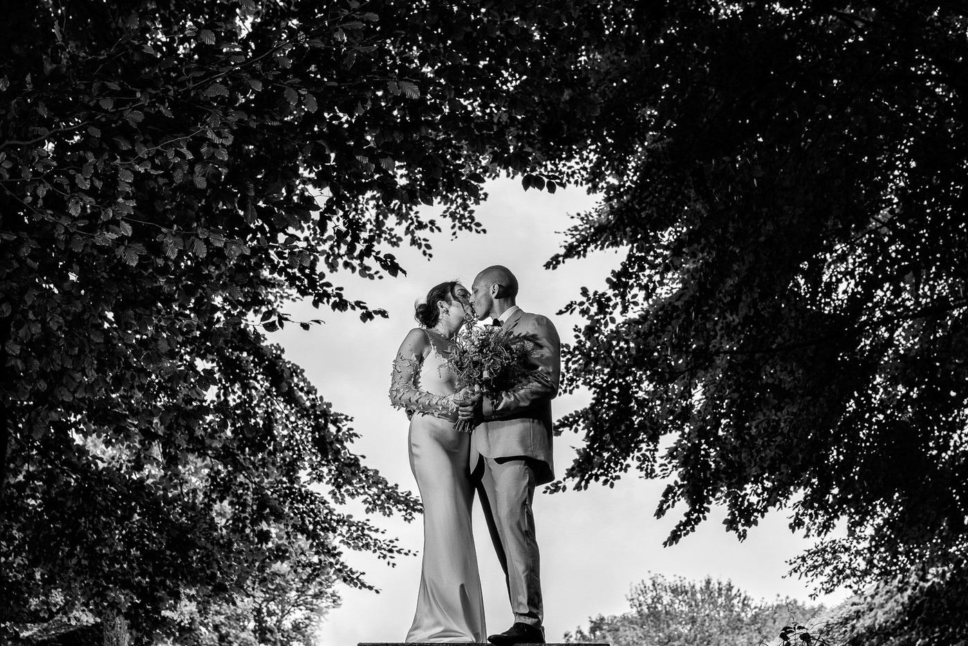 Collection 129 photo by William Linthout