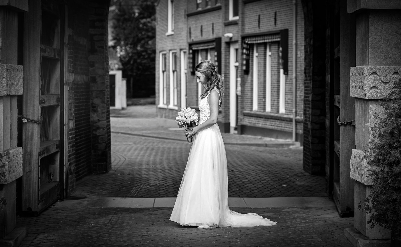 Collection 133 photo by Angela Schoorstra Witteveen