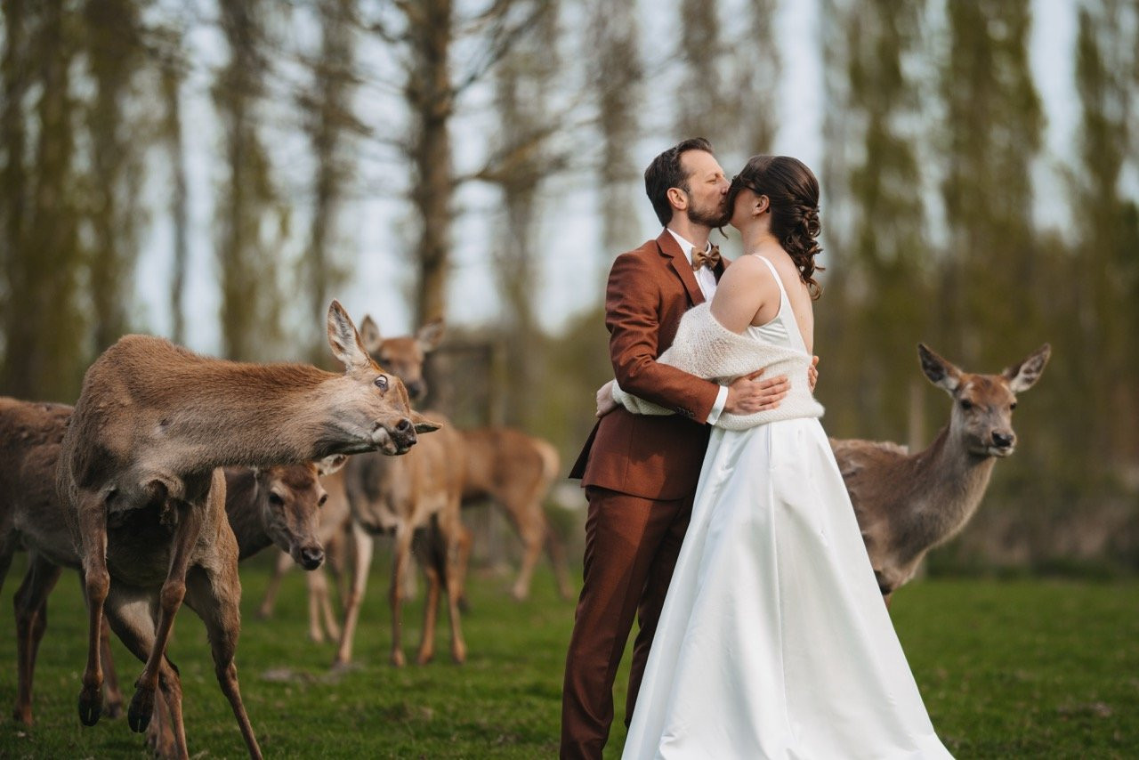 Collection 134 photo by Anna Naert