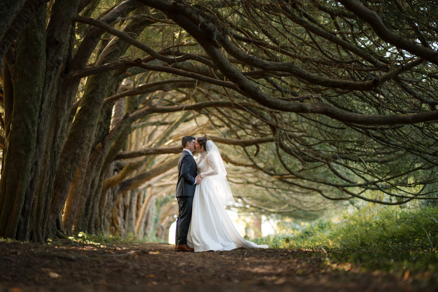 Collection 134 photo by Enda Murphy