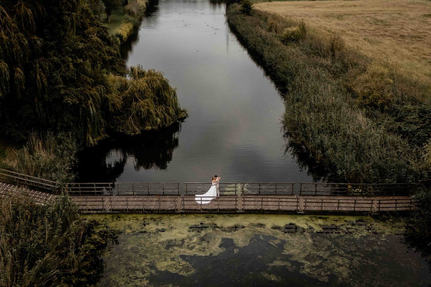 Collection 134 photo by Wim Vanderstichelen