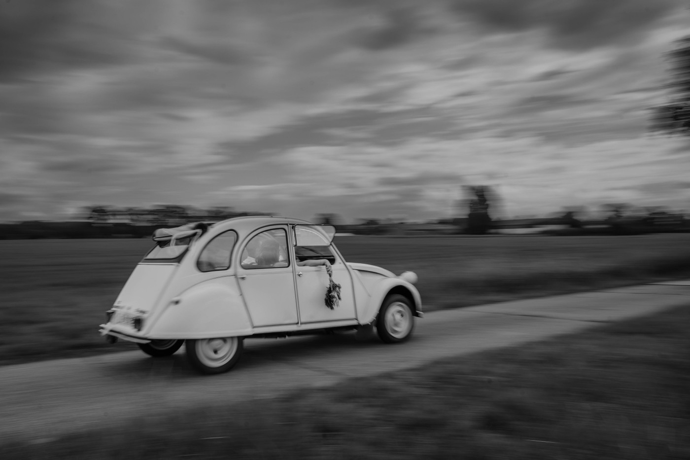 Collection 135 photo by Anneke Buelens