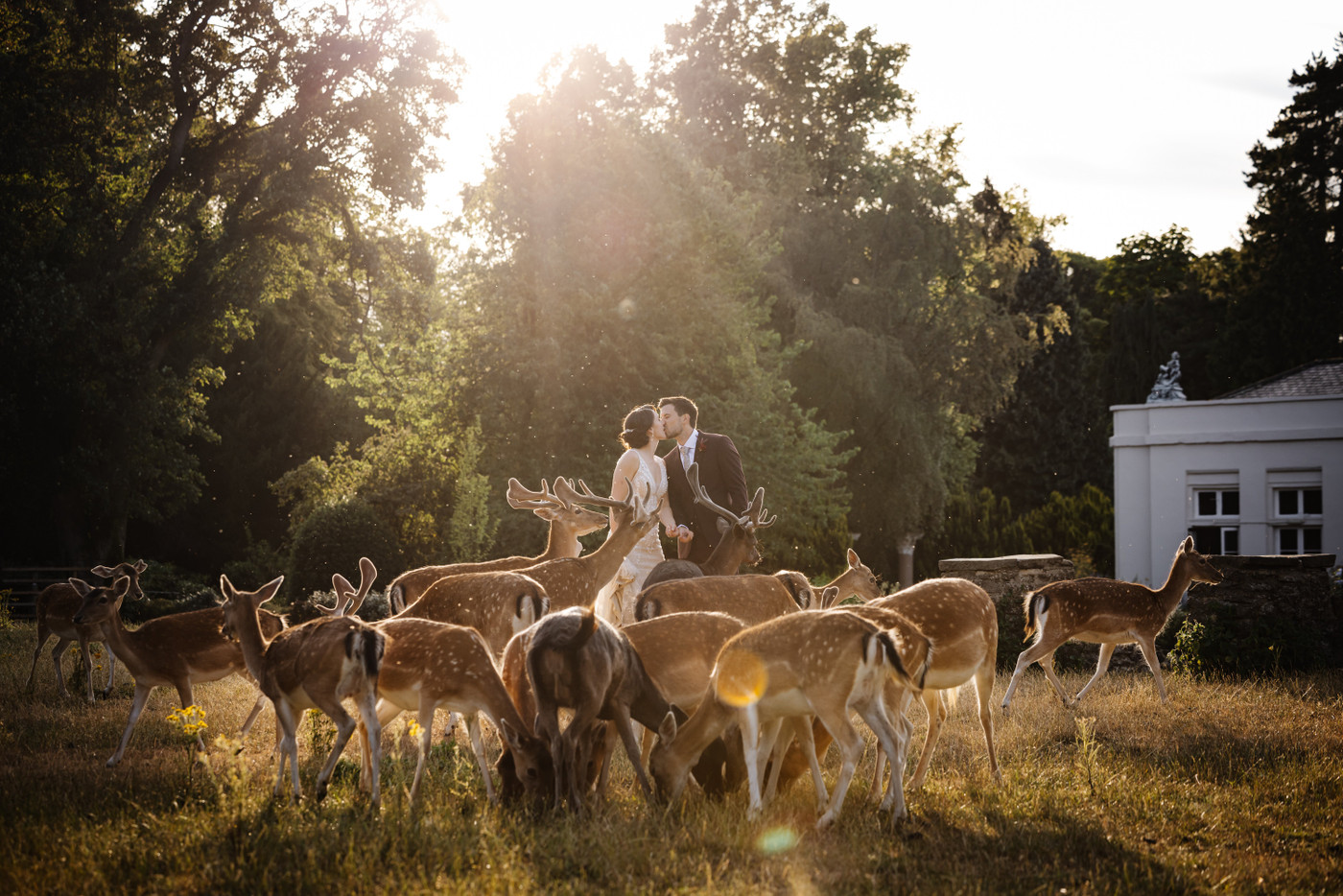 Collection 136 photo by Dash Middleton