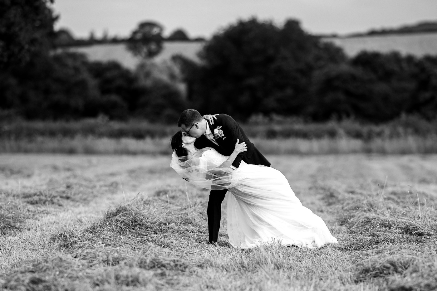 Collection 137 photo by Tom Fletcher
