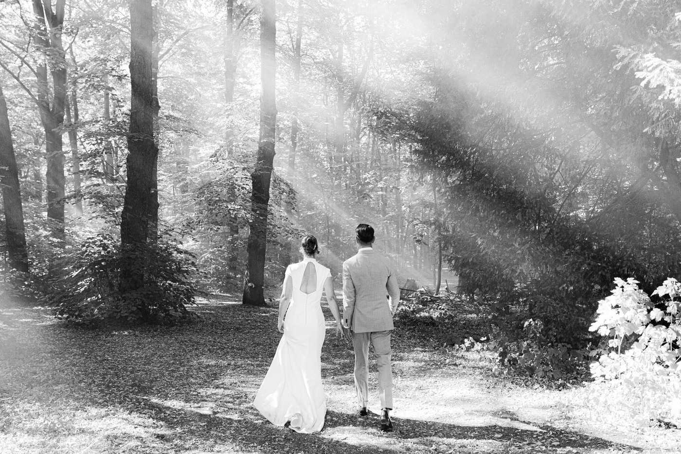 Collection 137 photo by Jill Spijkers