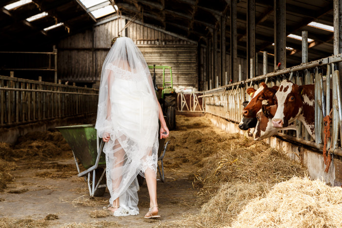Collection 33 photo by Laura De Kwant