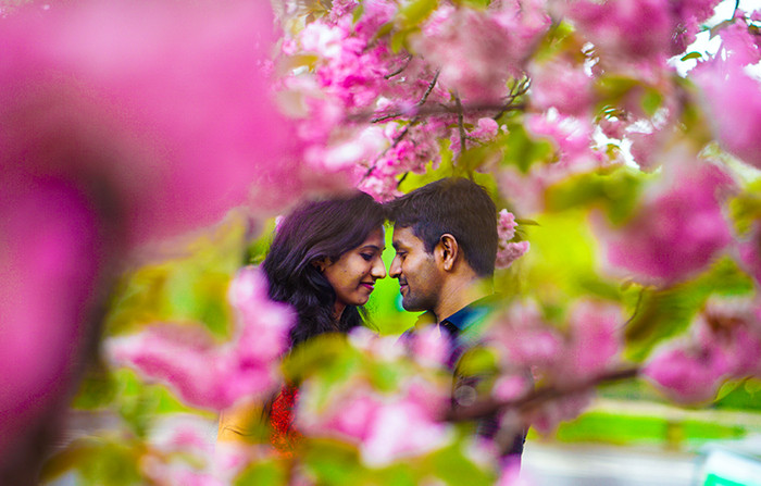 Collection 71 photo by Kamal Kiran