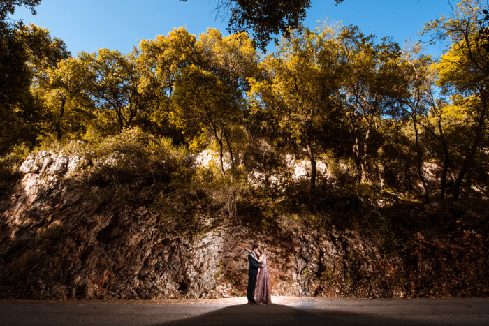 Collection 39 photo by Malek Haddad